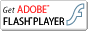 Get ADOBE FLASH PLYER
