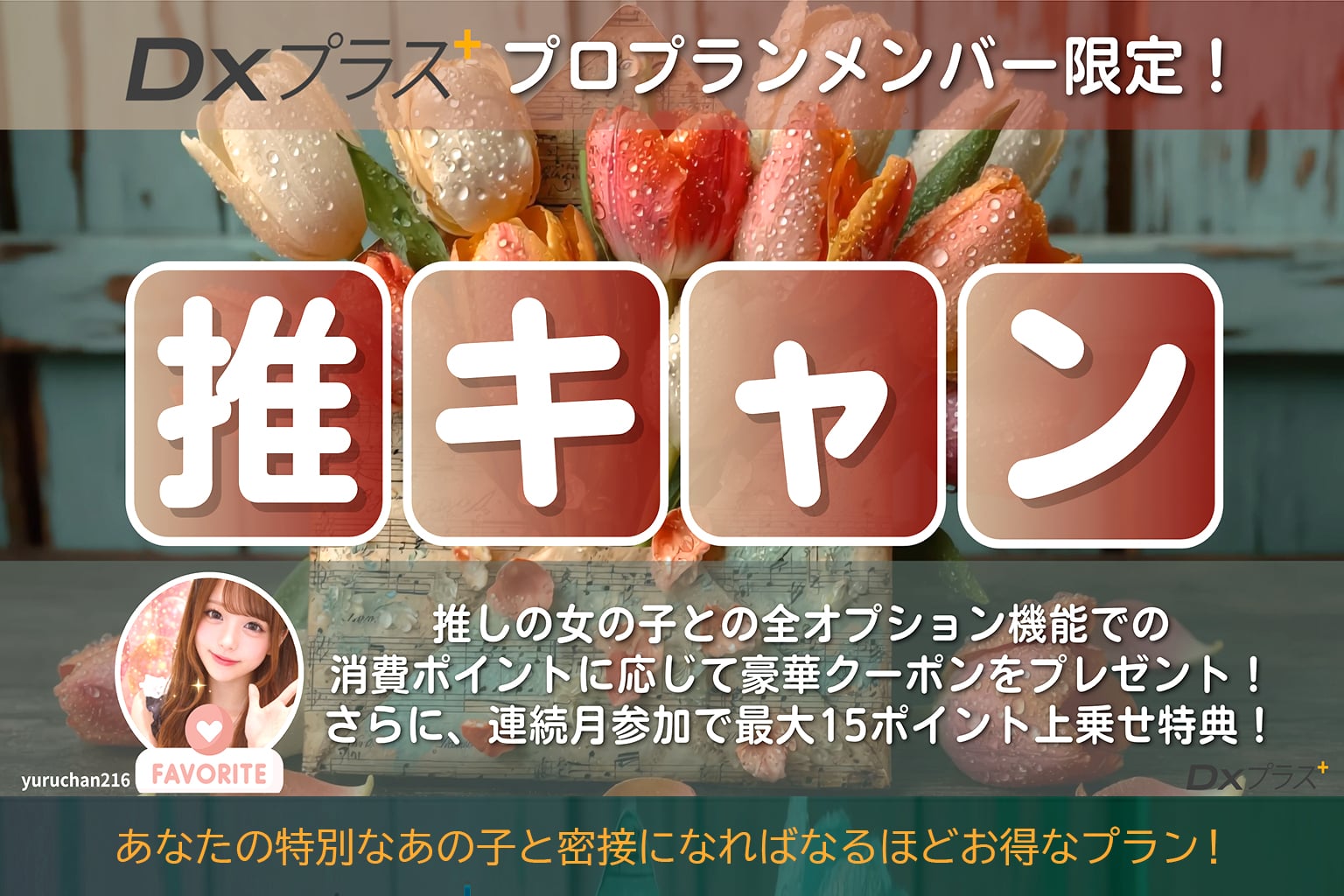 DXプラスプロ限定 推しキャン