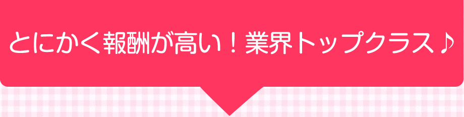 とにかく報酬が高い!業界トップクラス♪