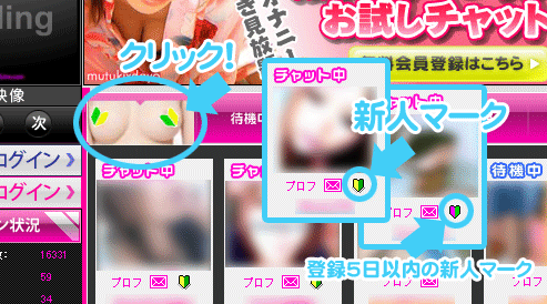新人娘はココで確認！