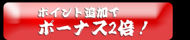 ボーナス2倍！