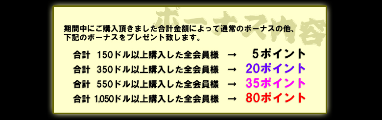 ボーナス内容