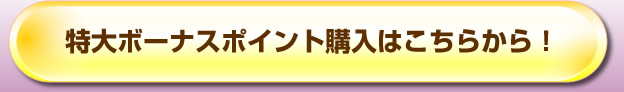 ポイント購入