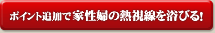 ポイント追加はこちら